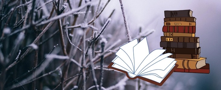 Objevte 9 knižních tipů na příběhy, kde vládne zima a sníh