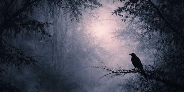 Čtenářský klub a společné čtení na duben 2026