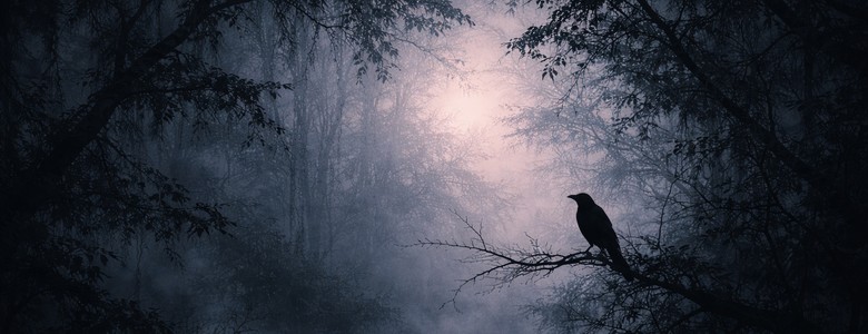 Čtenářský klub a společné čtení na duben 2026