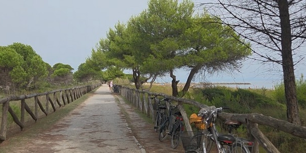 Knižní cestování: Bibione