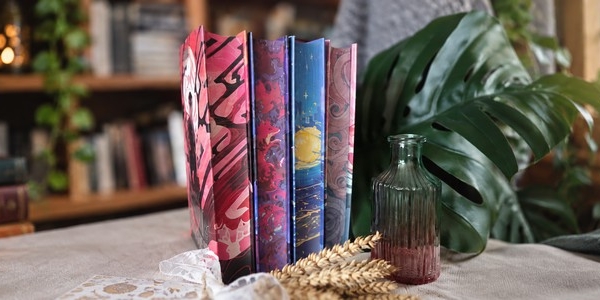 Knižní subscription: Illumicrate, Fairyloot